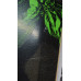 Elixir Carbonizer DH Bass Longboard discounted